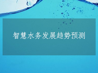 2023-2028年全球及中國智慧水務(wù)行業(yè)發(fā)展分析